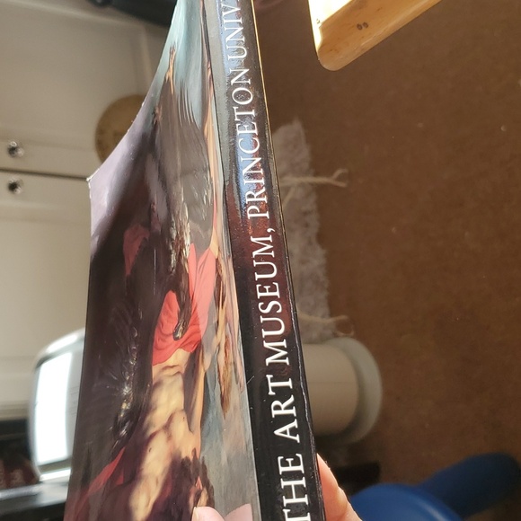 The Art Museum Princeton University Hardcover Book - Picture 15 of 16